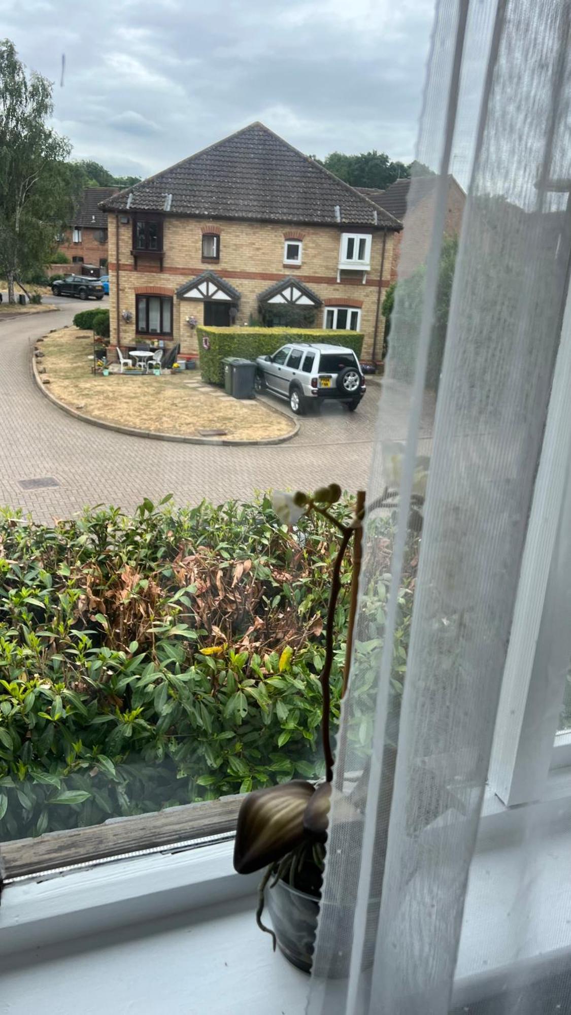 Beautiful Apartment In Guildford With Parking Send エクステリア 写真